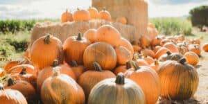 Tips To Make Your Fall Festival More Inclusive