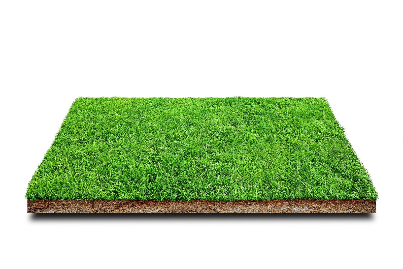 Best Reasons for Bagging Your Grass Clippings