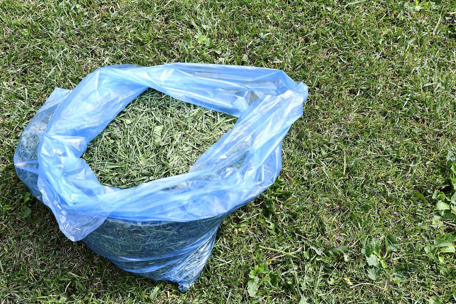 Best Reasons for Bagging Your Grass Clippings 3
