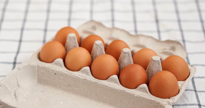 Why Are Eggs Getting So Expensive The Mysterious World Of Chicken Prices (2)