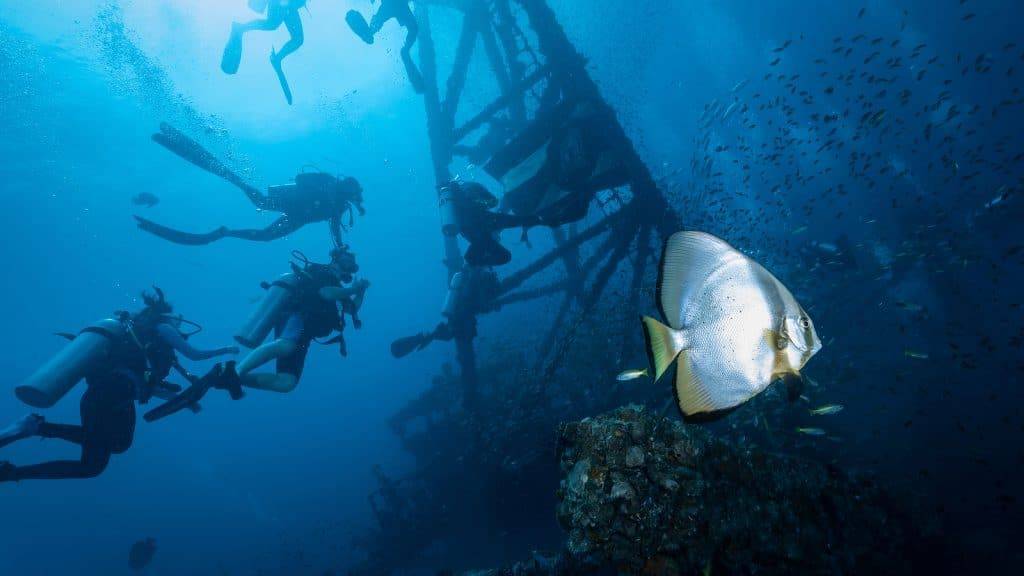 Vacancy Elite The Fascinating Shipwrecks of Turks and Caicos 3