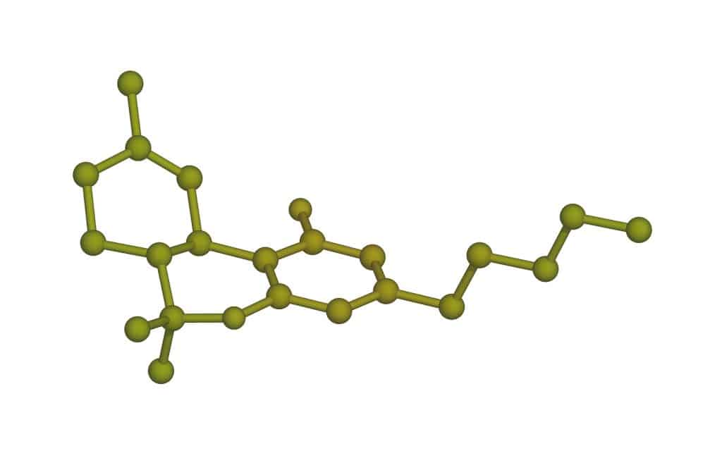 The Therapeutic Potential of Delta 8 and Delta 9 THC: A Comparative Analysis 2