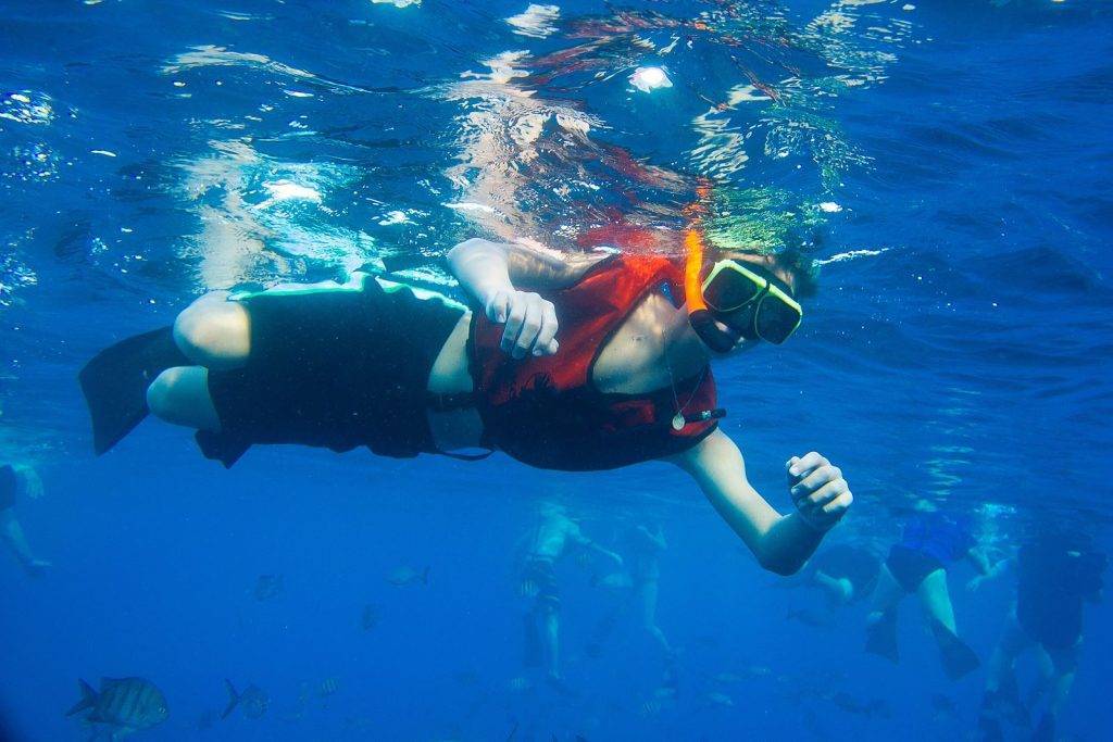 Aruba Travel Reviews Why Do Tourists Love It (1)